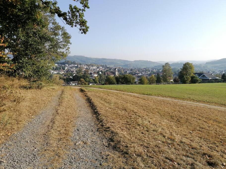 발베 Sauerlandluft 아파트 외부 사진